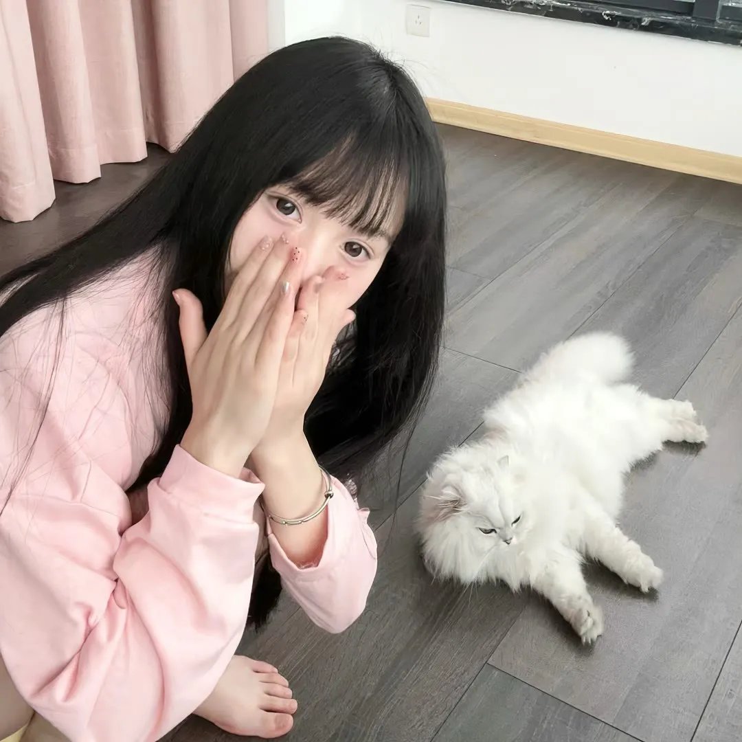 猿与超猿